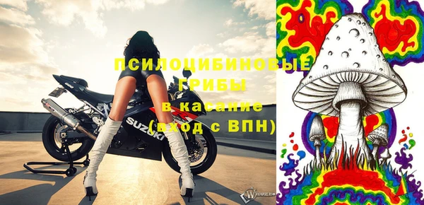 бошки Алексеевка