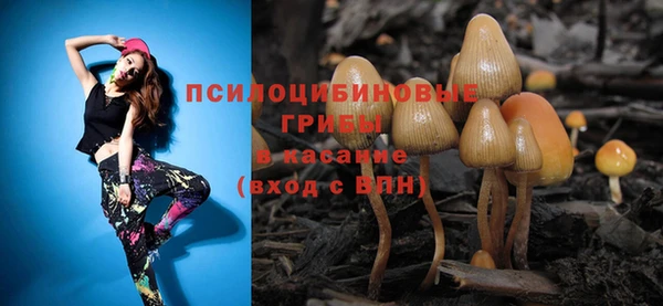 не бодяженный Абаза