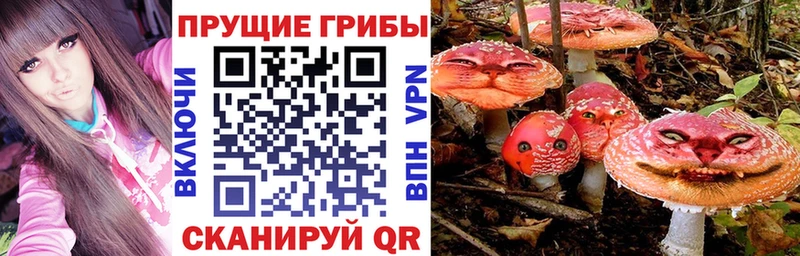 Псилоцибиновые грибы мицелий  маркетплейс как зайти  Емва  сколько стоит 
